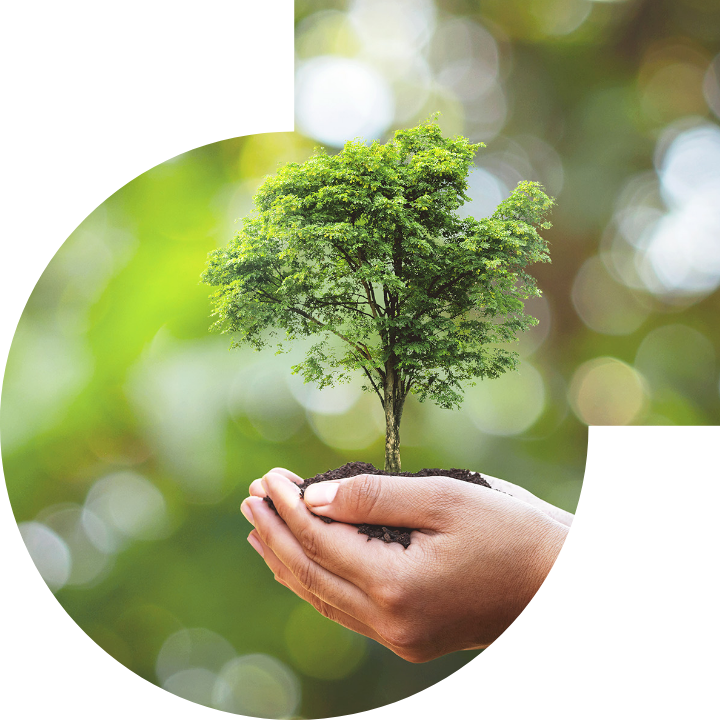 关怀人类、文化、环境与社会